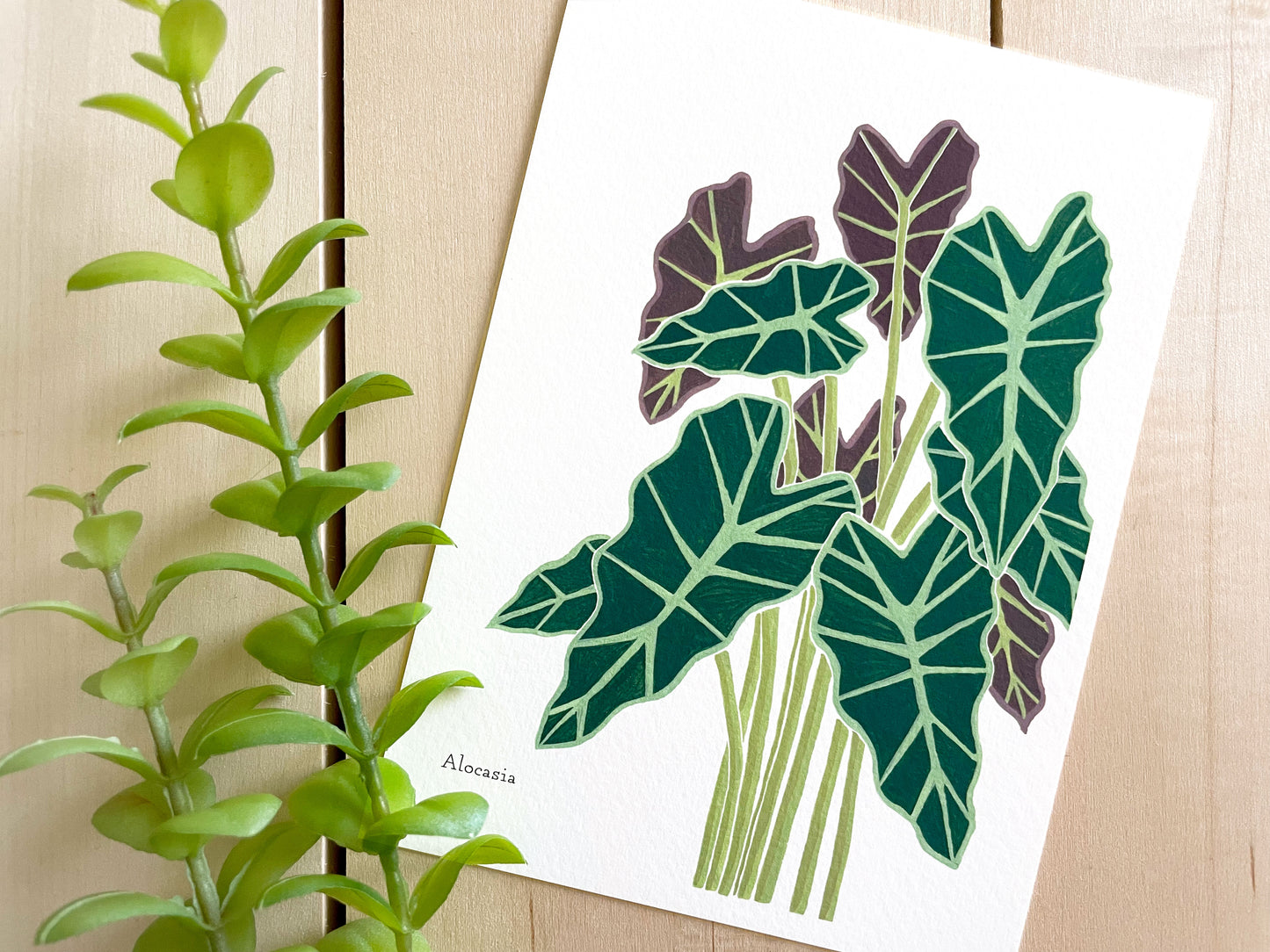 Alocasia 5x7 Gouache Print