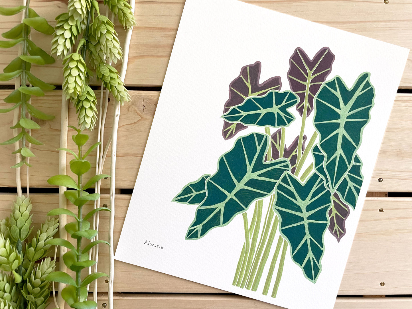 Alocasia 8x10 Gouache Print