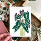 Set of 5 | 5x7 Plants on Paper Gouache Prints