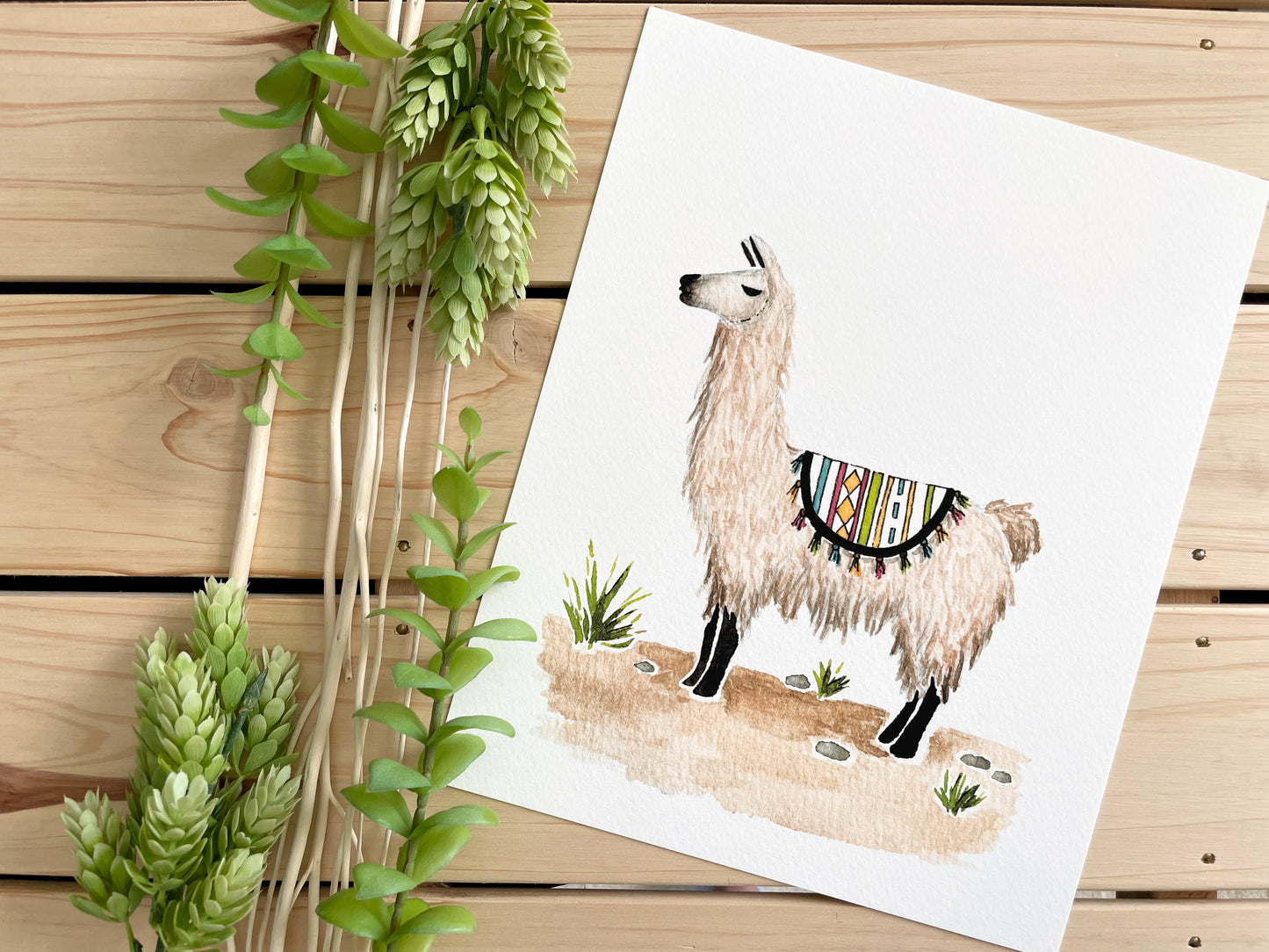 Llama 8x10 Watercolor Print
