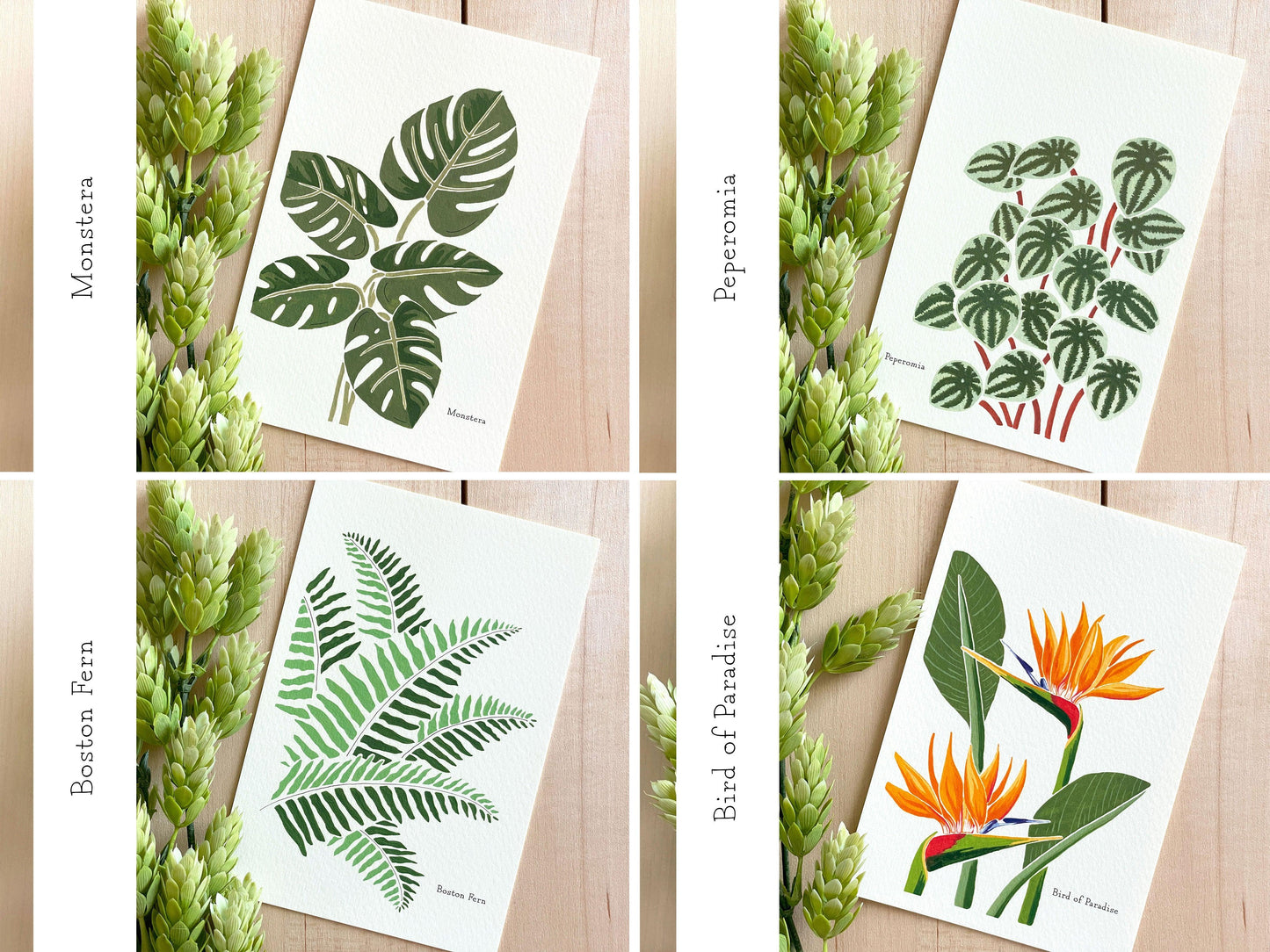Set of 5 | 4x6 Plants on Paper Gouache Prints - Lilyvine Design