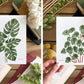 Set of 5 | 5x7 Plants on Paper Gouache Prints - Lilyvine Design