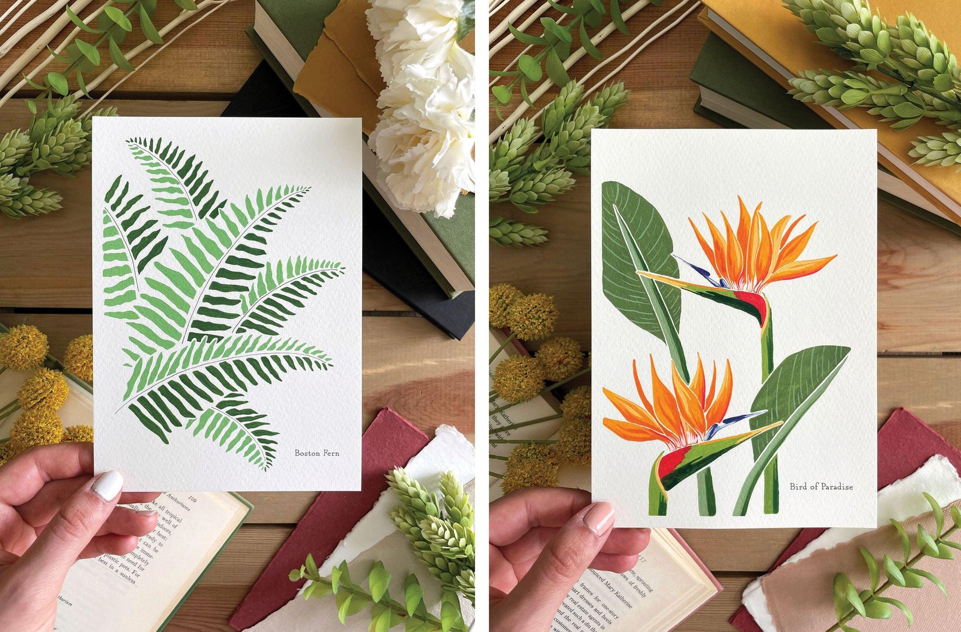 Set of 5 | 5x7 Plants on Paper Gouache Prints - Lilyvine Design