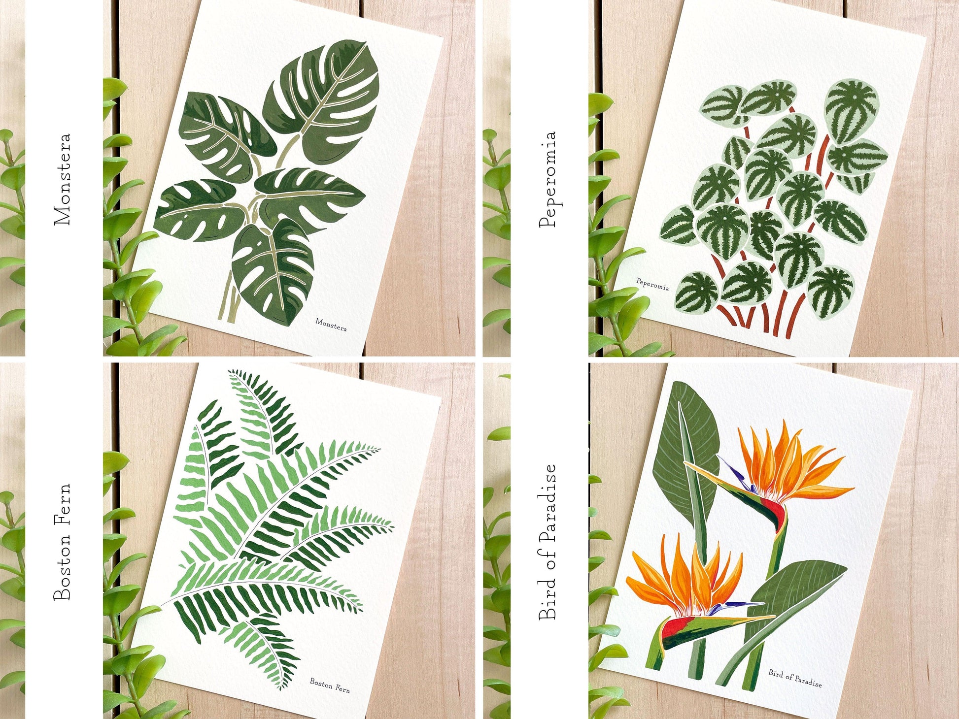 Set of 5 | 5x7 Plants on Paper Gouache Prints - Lilyvine Design