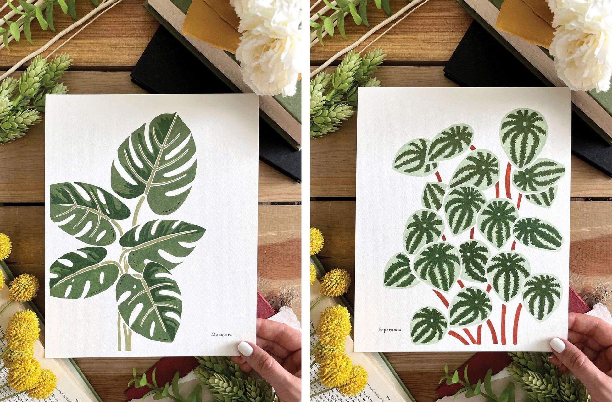 Set of 3 | 8x10 Plants on Paper Gouache Prints - Lilyvine Design