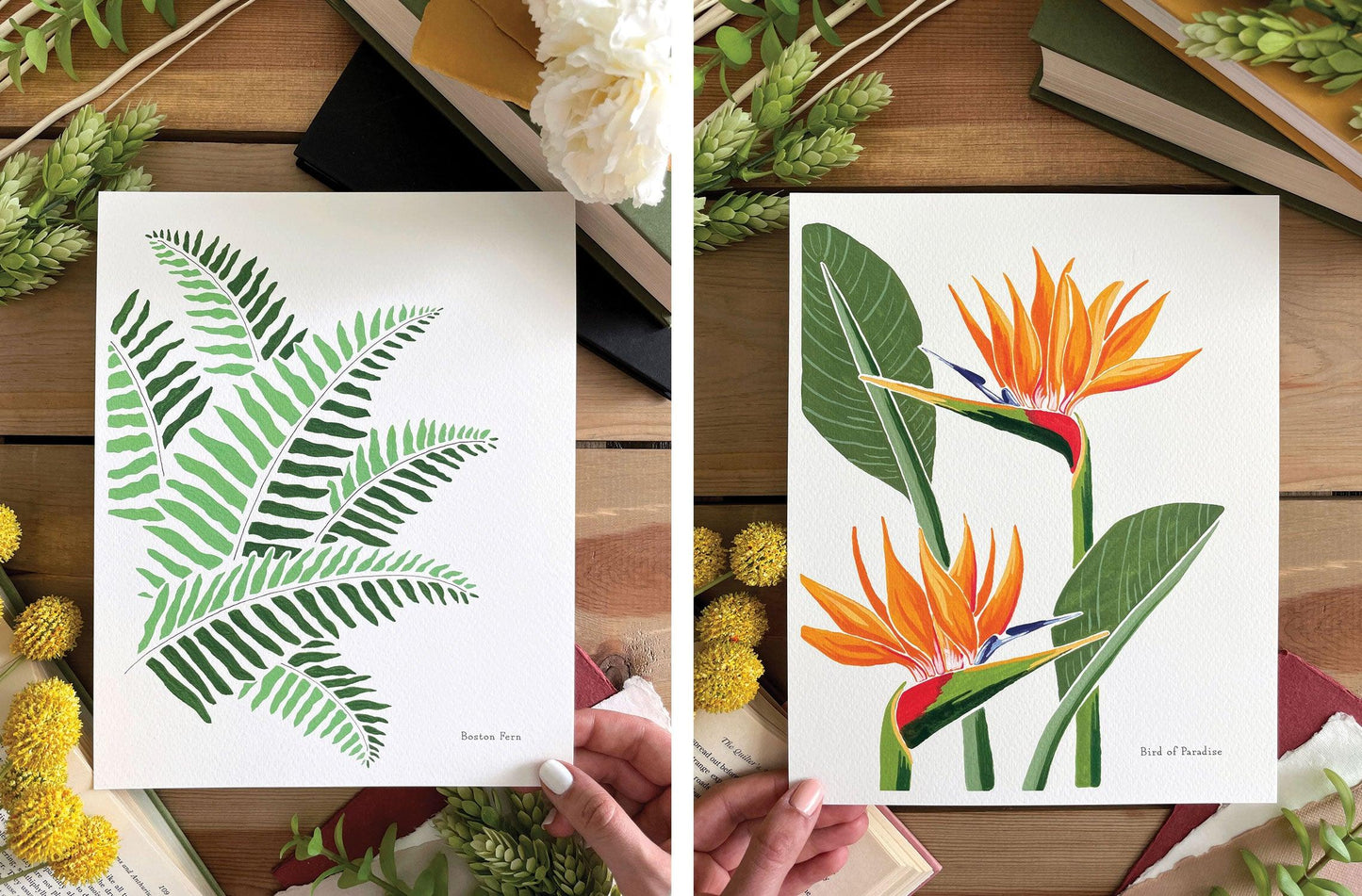 Set of 3 | 8x10 Plants on Paper Gouache Prints - Lilyvine Design
