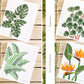 Set of 3 | 8x10 Plants on Paper Gouache Prints - Lilyvine Design