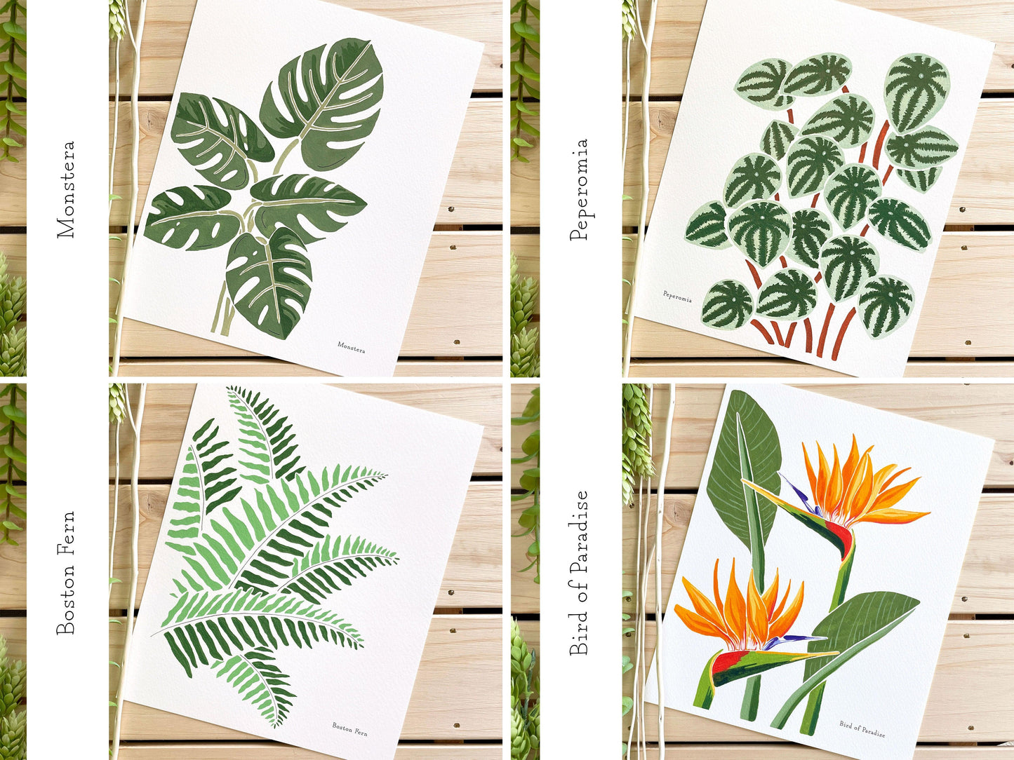 Set of 3 | 8x10 Plants on Paper Gouache Prints - Lilyvine Design