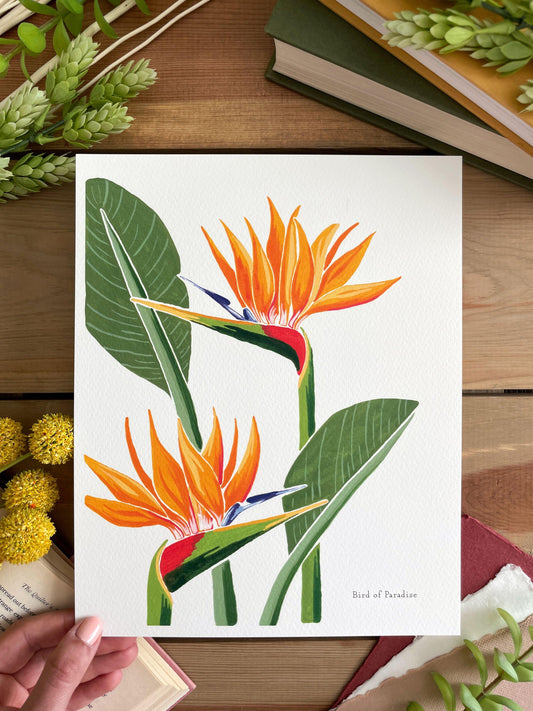 Bird of Paradise 8x10 Gouache Print - Lilyvine Design