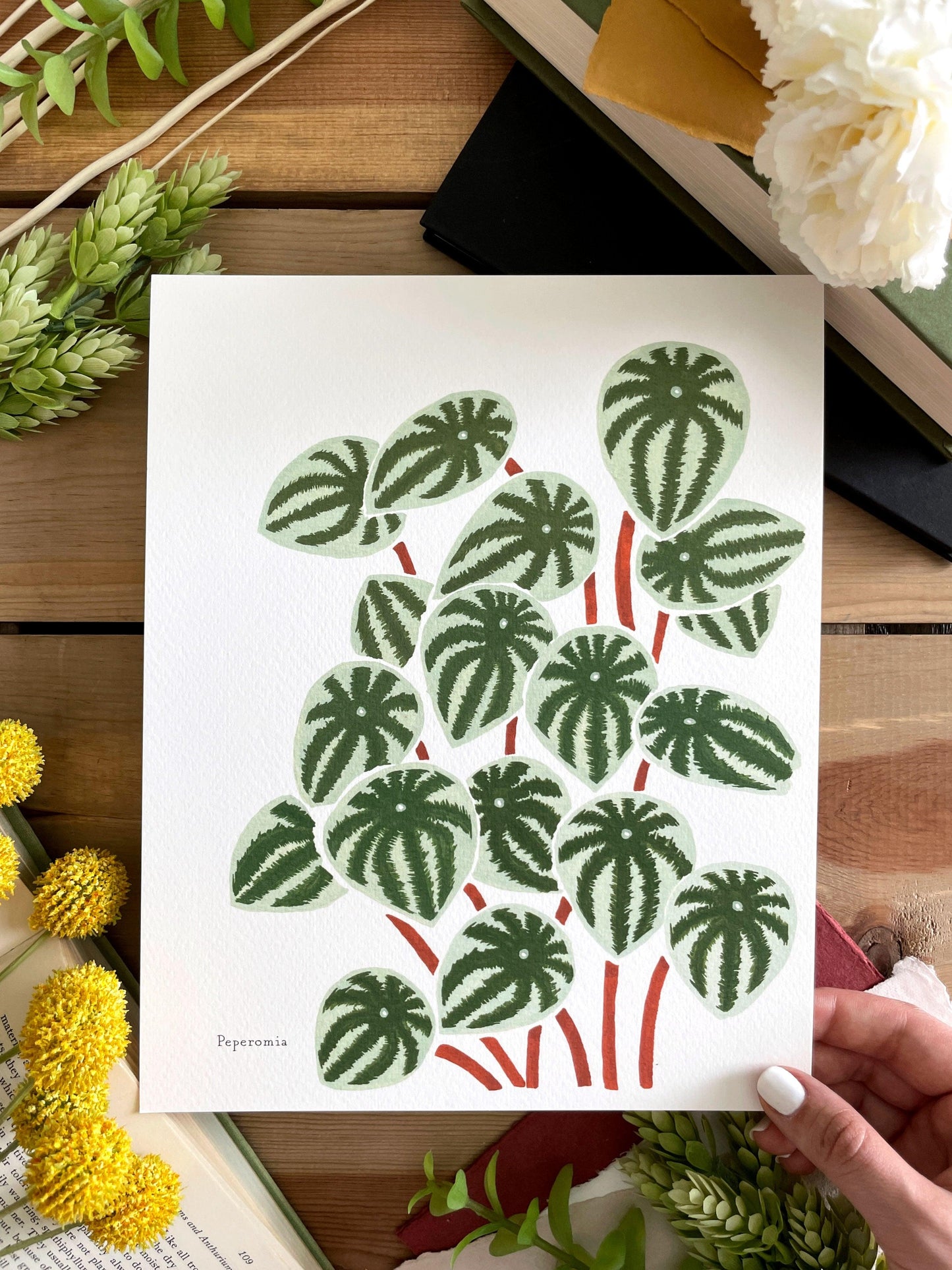 Peperomia 8x10 Gouache Print - Lilyvine Design