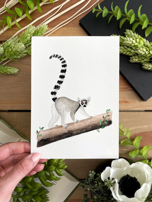 Ring-Tailed Lemur 5x7 Watercolor Print - Lilyvine Design