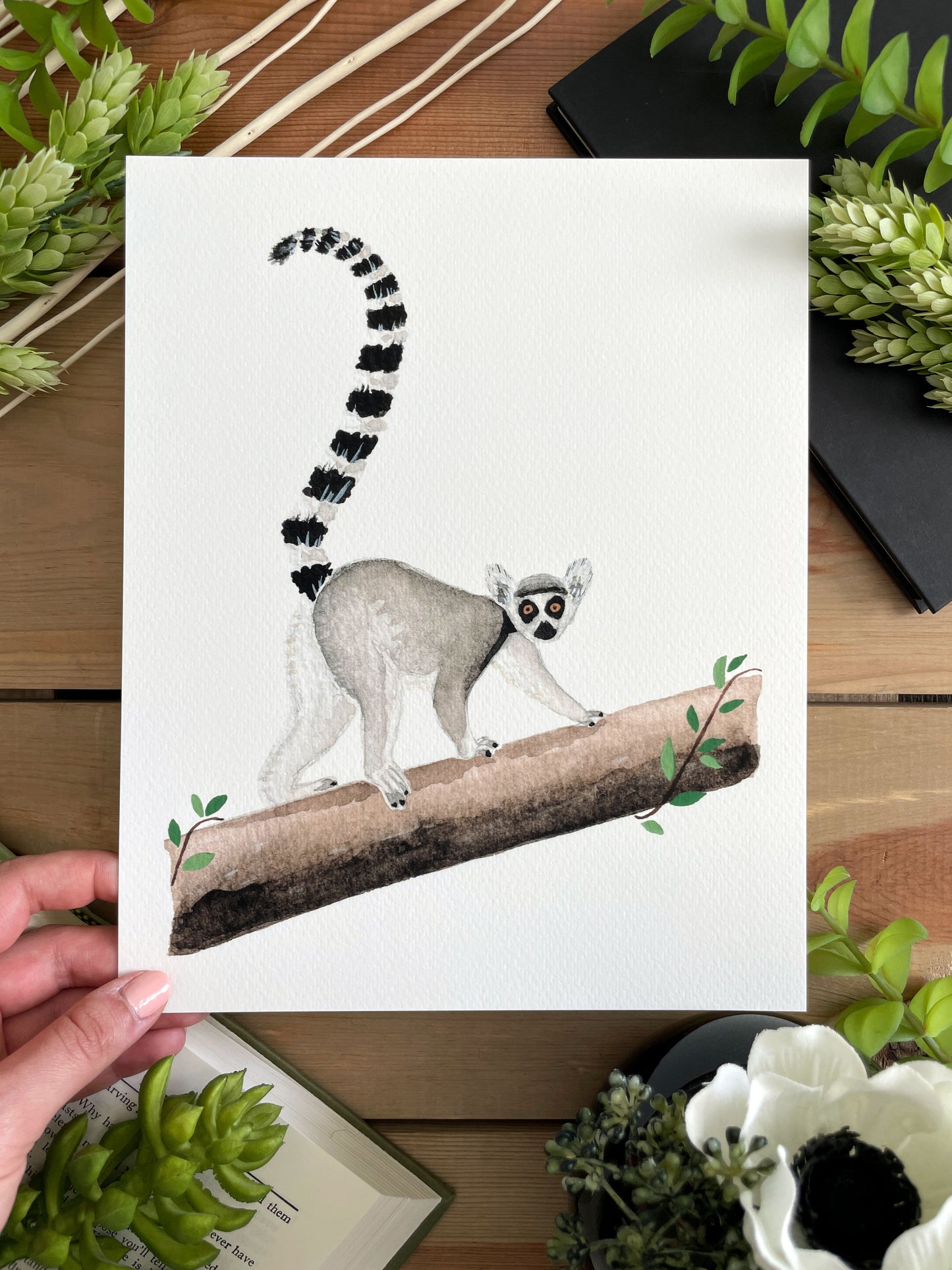 Ring-Tailed Lemur 8x10 Watercolor Print - Lilyvine Design