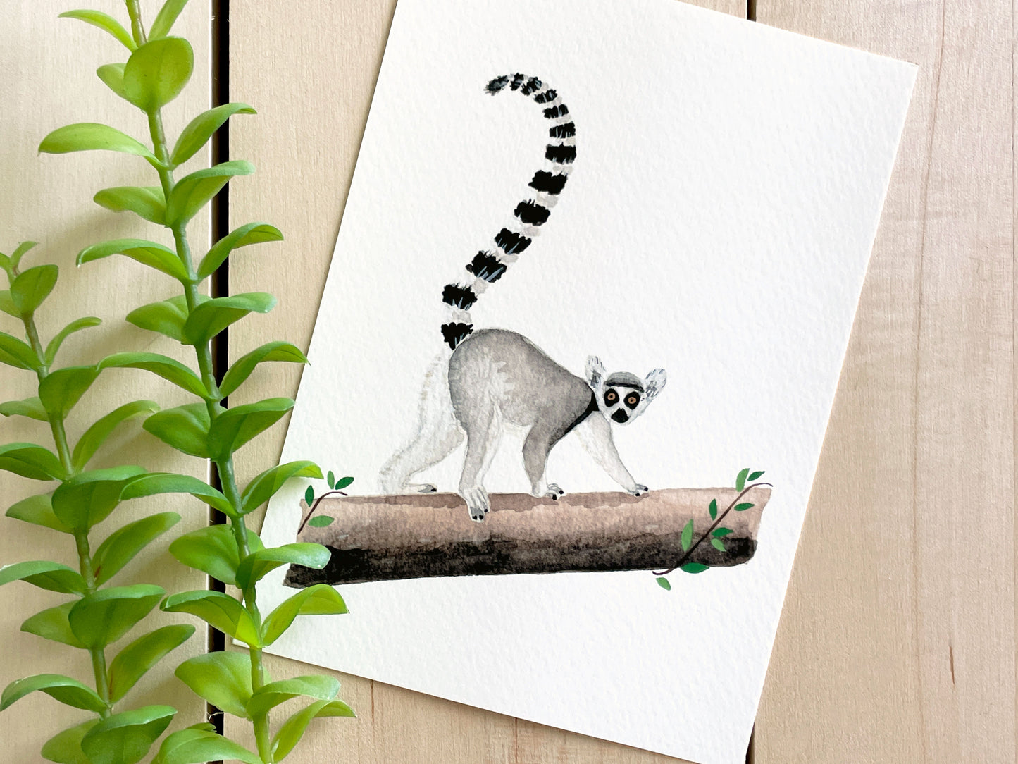 Ring-Tailed Lemur 5x7 Watercolor Print - Lilyvine Design