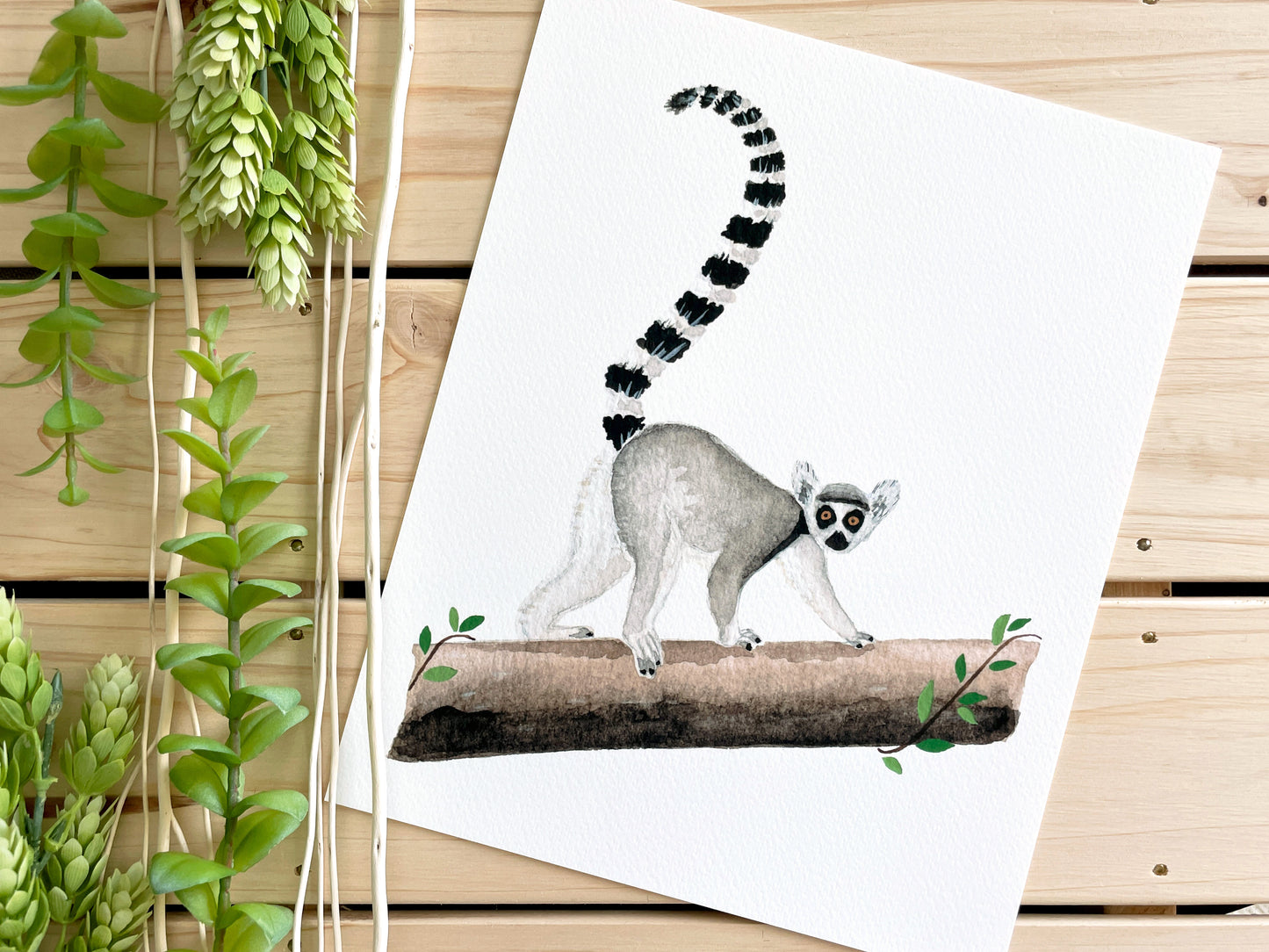 Ring-Tailed Lemur 8x10 Watercolor Print - Lilyvine Design