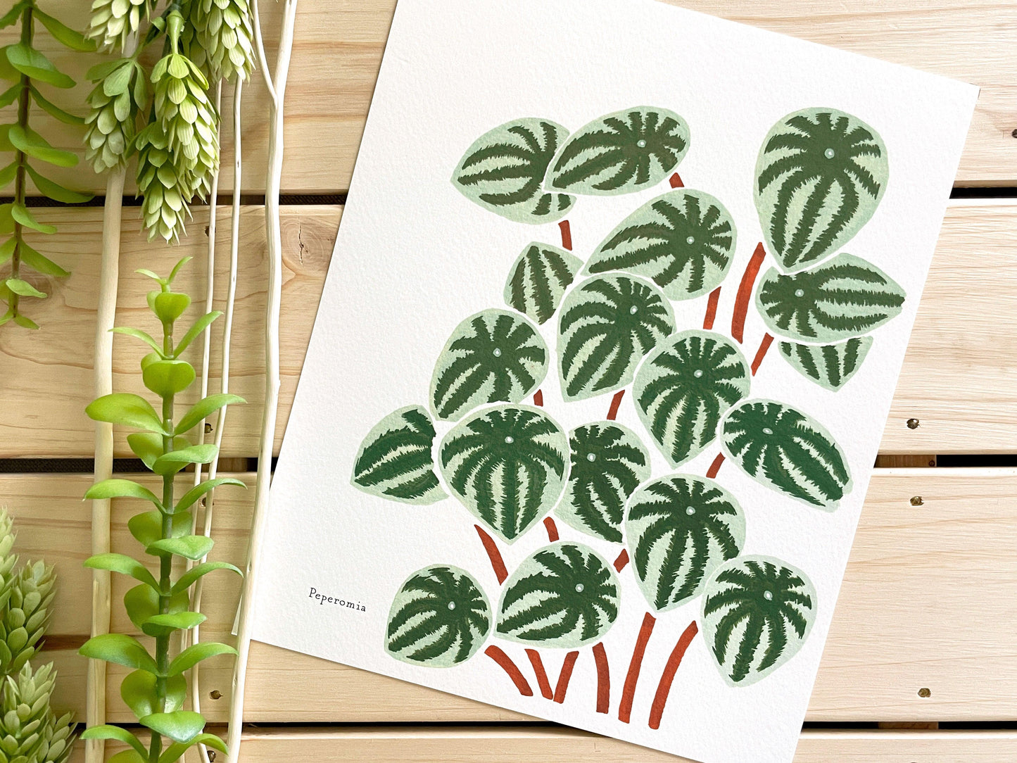 Peperomia 8x10 Gouache Print - Lilyvine Design