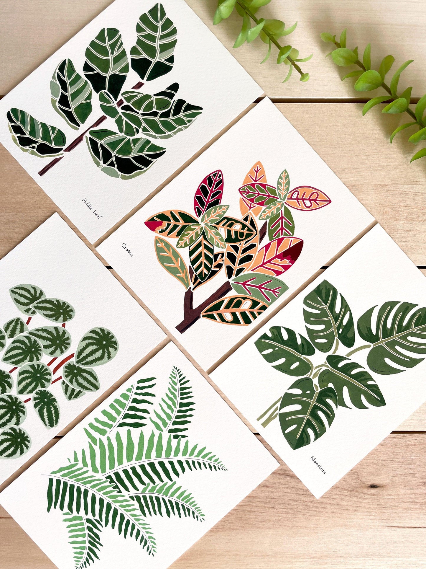 Set of 5 | 5x7 Plants on Paper Gouache Prints - Lilyvine Design