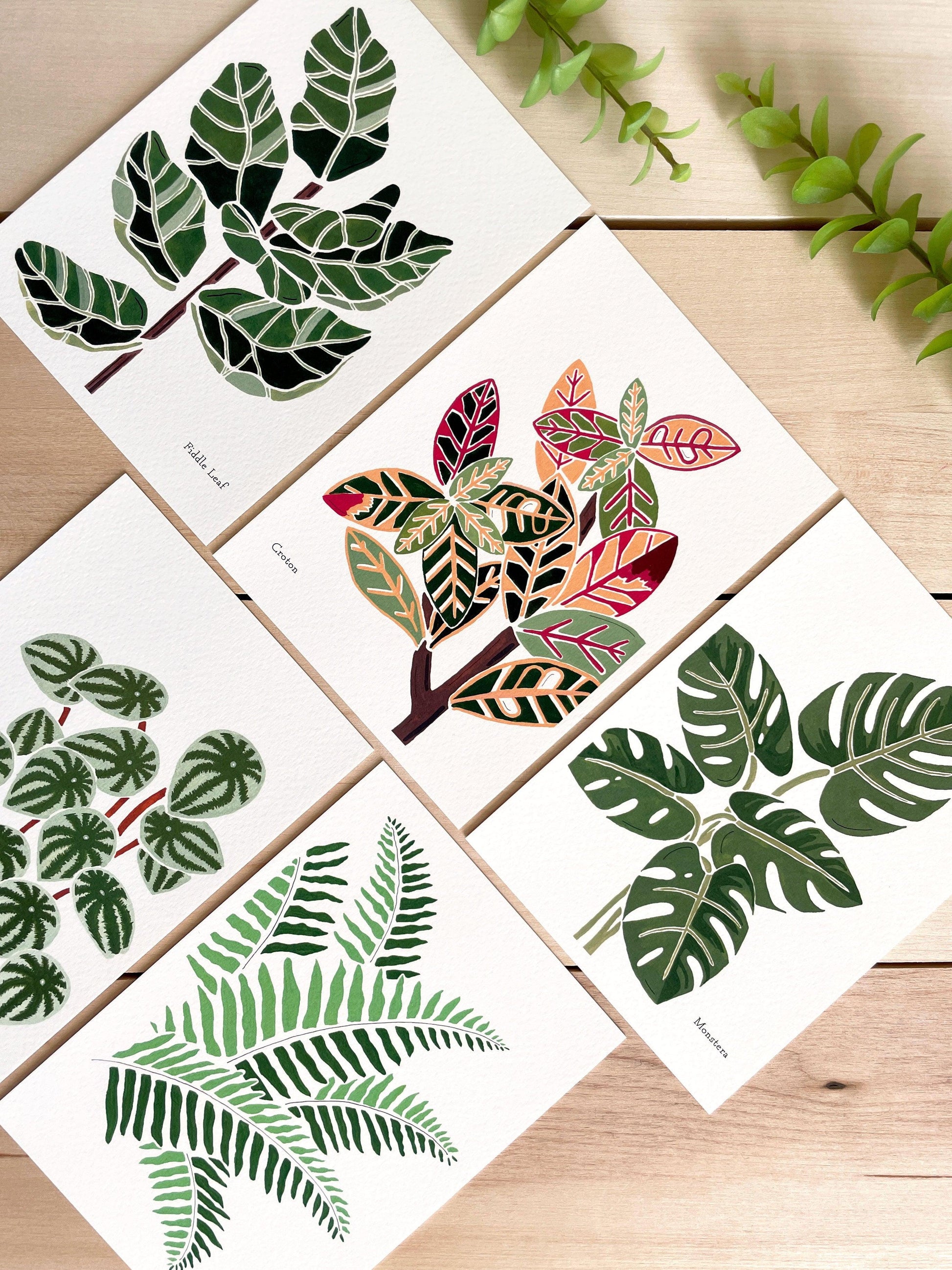 Set of 5 | 5x7 Plants on Paper Gouache Prints - Lilyvine Design
