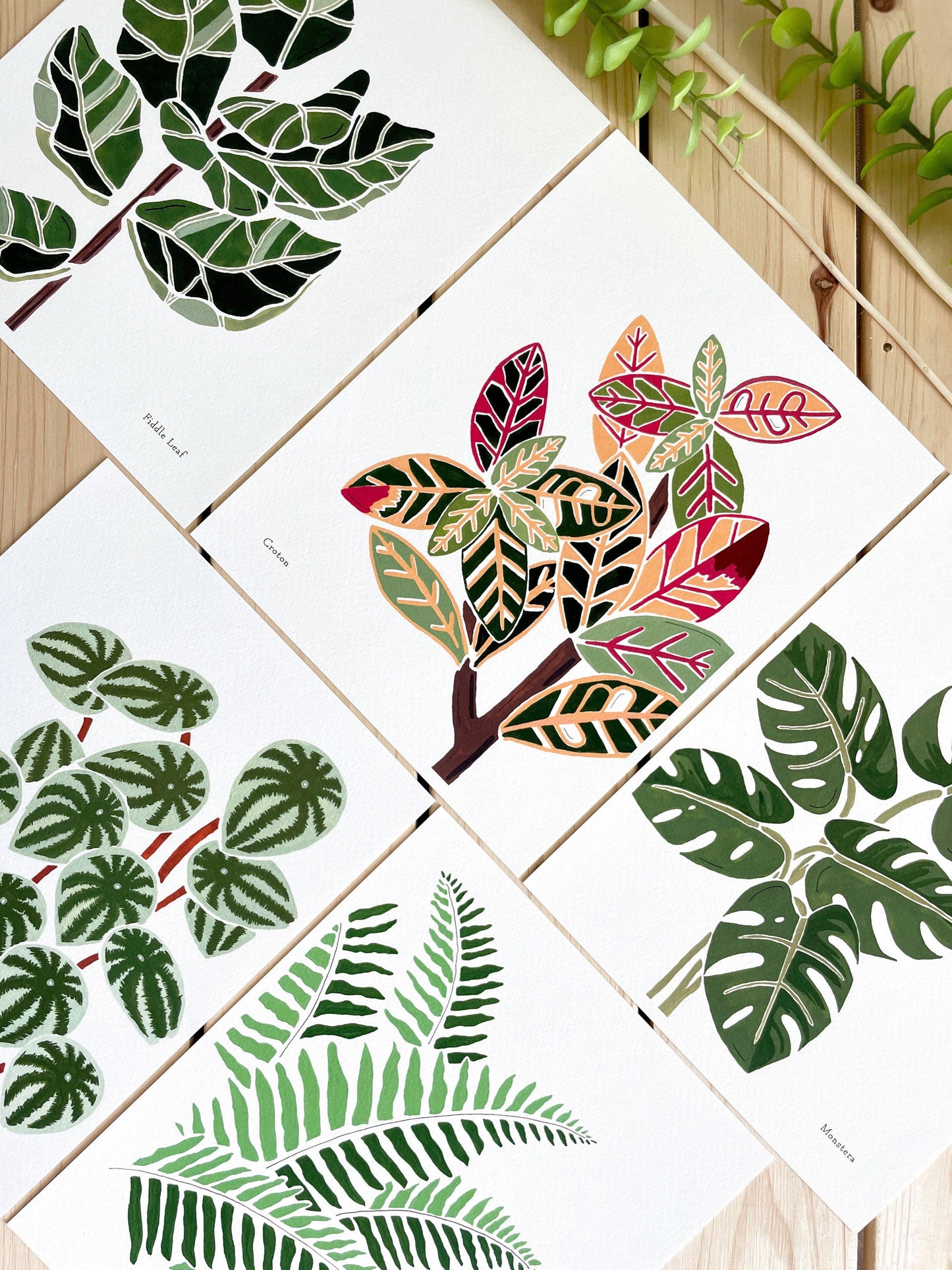 Set of 3 | 8x10 Plants on Paper Gouache Prints - Lilyvine Design