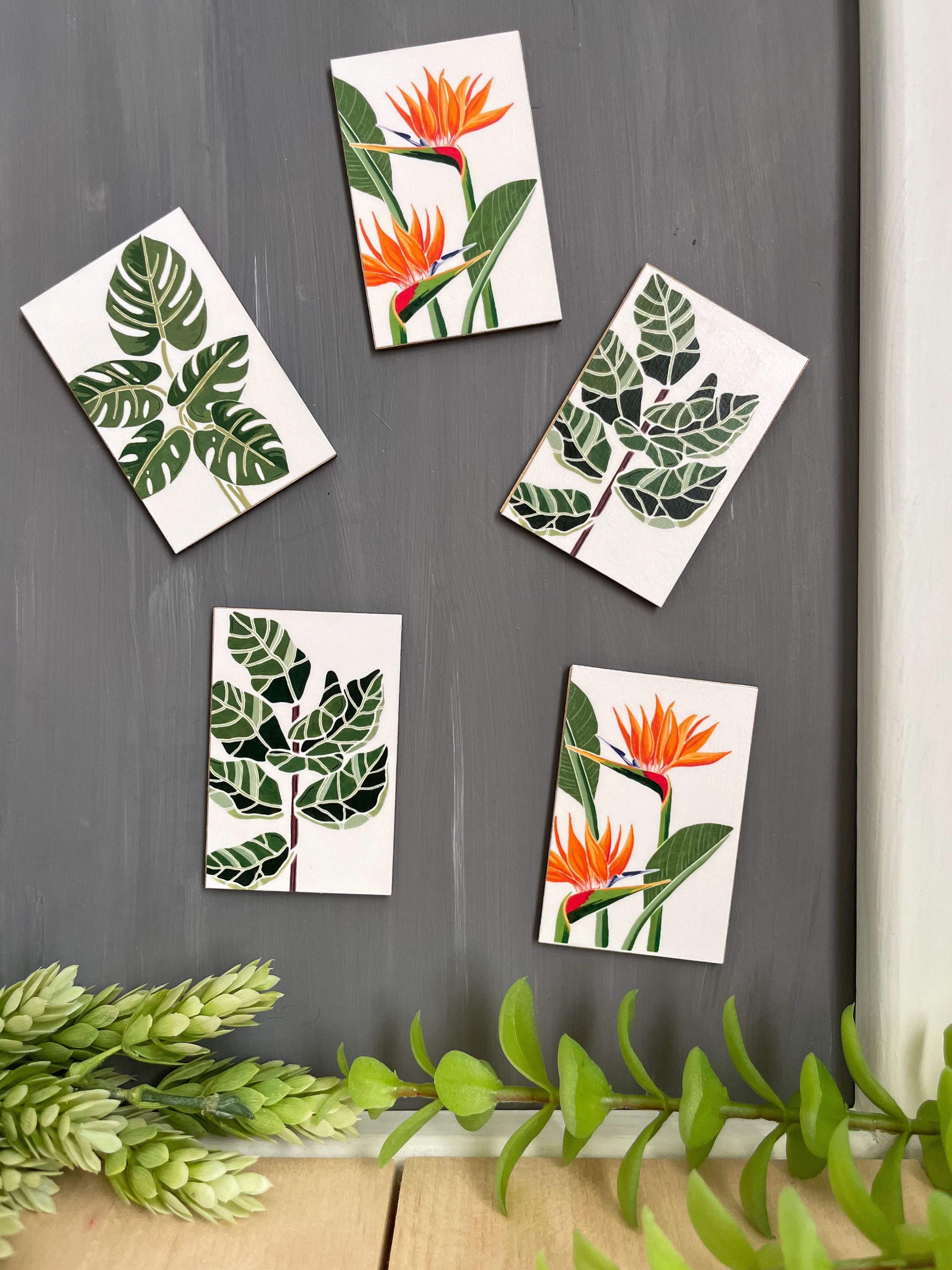Magnets – Lilyvine Design