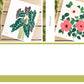 Set of 3 | 8x10 Plants on Paper Gouache Prints
