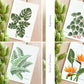 Set of 5 | 4x6 Plants on Paper Gouache Prints - Lilyvine Design