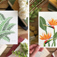 Set of 5 | 5x7 Plants on Paper Gouache Prints - Lilyvine Design