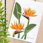Bird of Paradise 5x7 Gouache Print - Lilyvine Design
