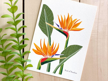 Bird of Paradise 5x7 Gouache Print - Lilyvine Design