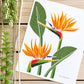 Bird of Paradise 8x10 Gouache Print - Lilyvine Design