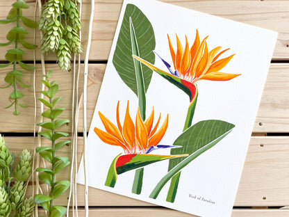 Bird of Paradise 8x10 Gouache Print - Lilyvine Design