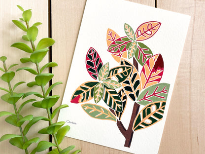 Croton 5x7 Gouache Print - Lilyvine Design