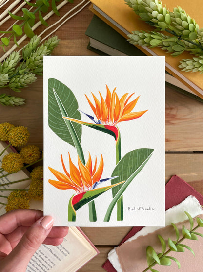 Bird of Paradise 5x7 Gouache Print - Lilyvine Design