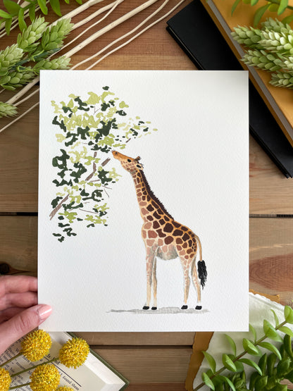 Giraffe 8x10 Watercolor Print - Lilyvine Design