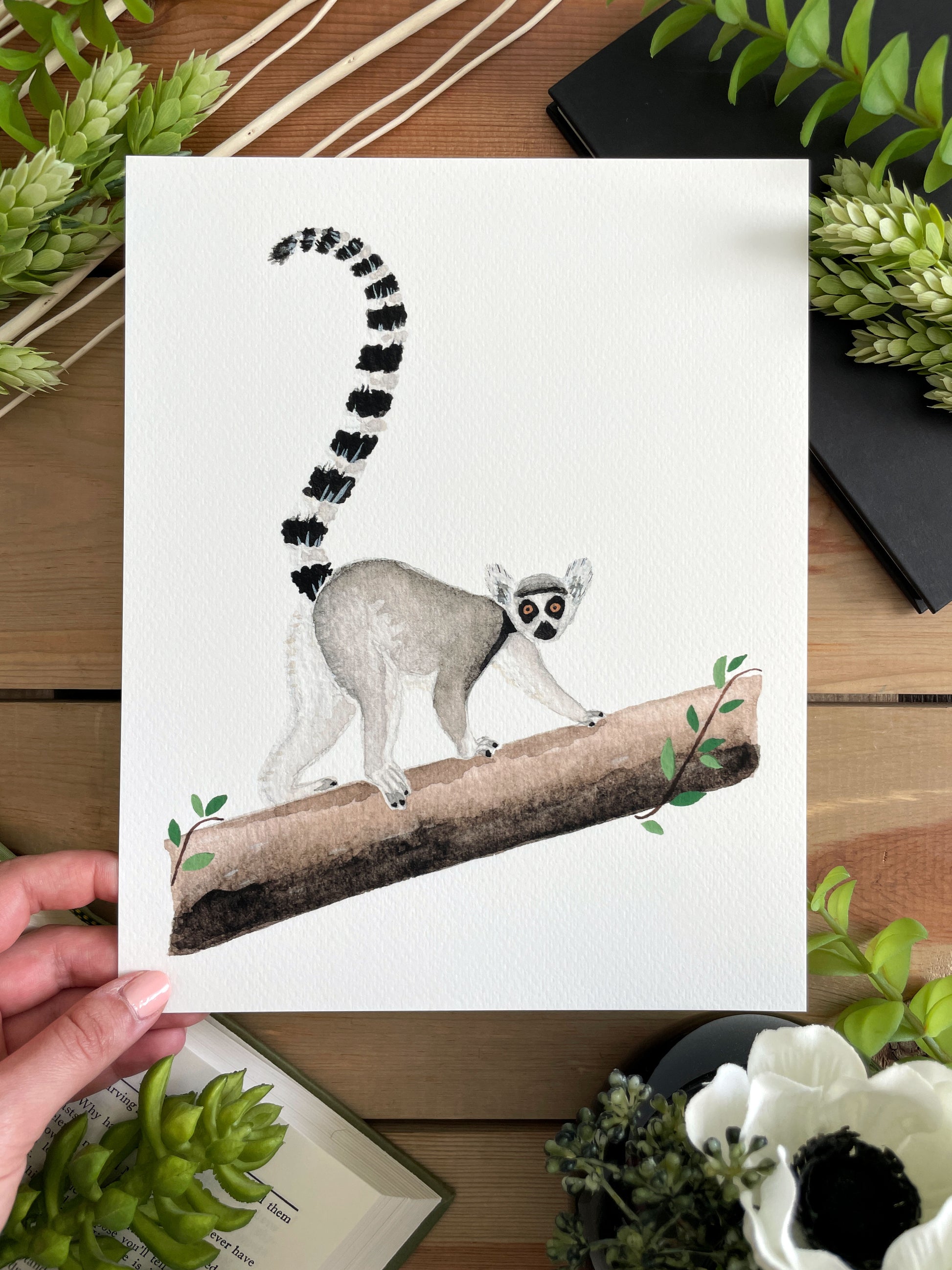 Ring-Tailed Lemur 8x10 Watercolor Print - Lilyvine Design