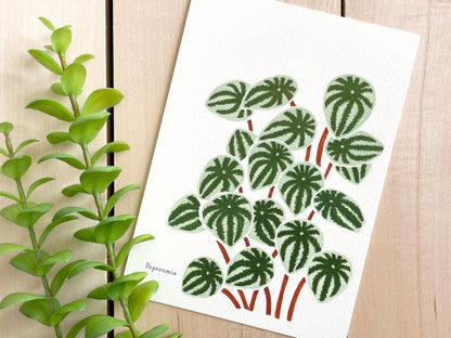 Peperomia 5x7 Gouache Print - Lilyvine Design